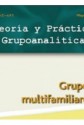 Teoría y práctica grupoanalítica vol 2
